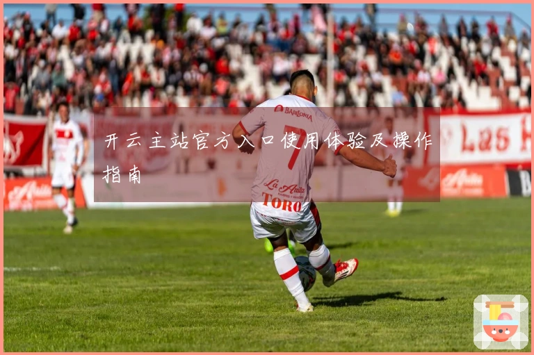 开云主站官方入口使用体验及操作指南