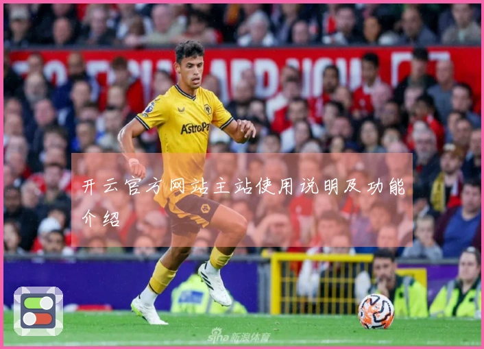 开云官方网站主站使用说明及功能介绍
